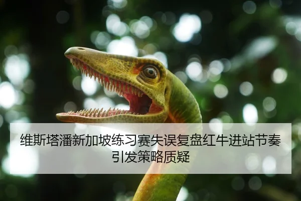 维斯塔潘新加坡练习赛失误复盘红牛进站节奏引发策略质疑